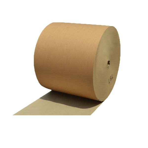 Custom Biodegradable Brown Kraft Paper Food Grade One Side Pe Coated Roll
