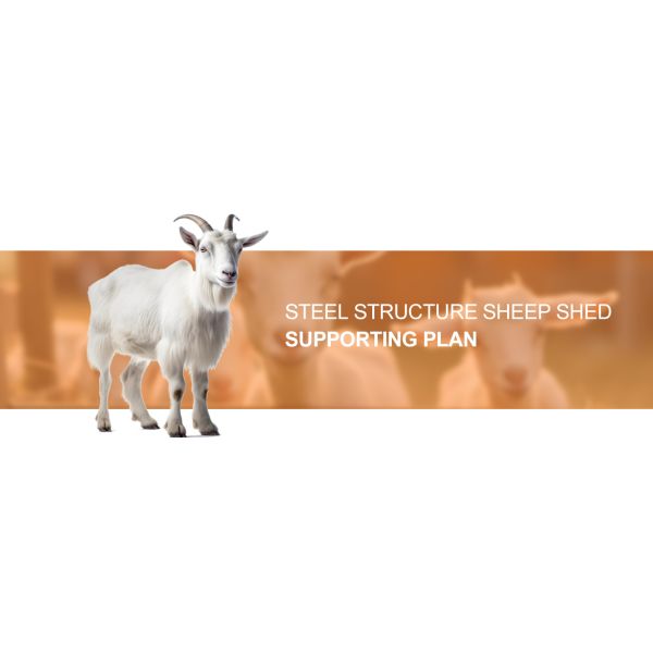 Aluminum Alloy Window Prefab Steel Construction Agricultural Building for Cattle Barn