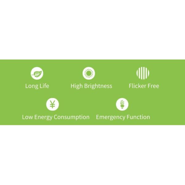 Waterproof LED IP65 Ceiling Mounted Emergency Lights