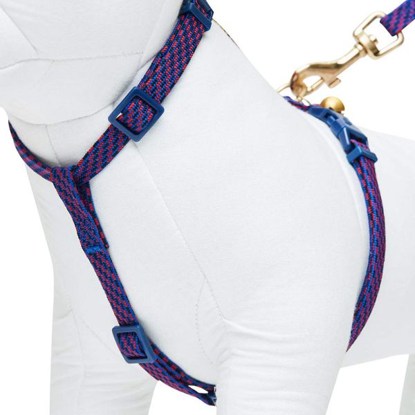 Breakaway Safety Cat Harness Collar , Personalized Cat Collars Polyester Webbing