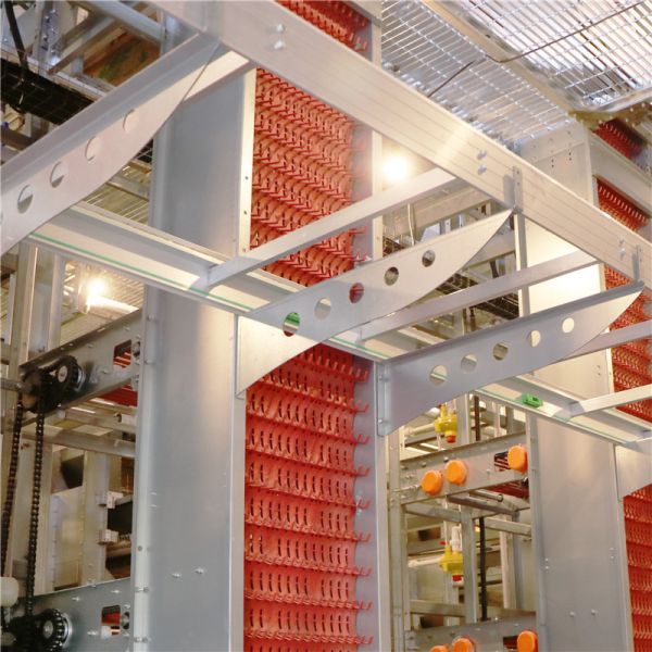 Poultry Farming galvanized Egg Layer Chicken Cage For 5000 Birds