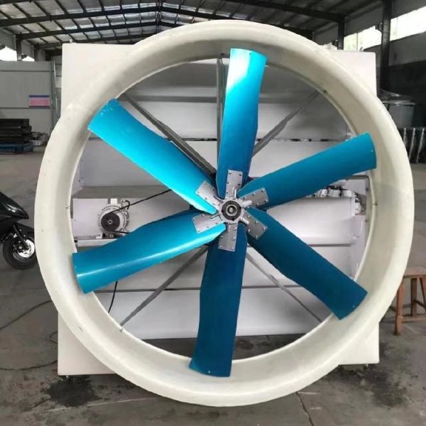 Agricultural Single-Span Tunnel Type Film Blackout Mushroom Greenhouse with Light Deprivation System for Medical Plants and Mushroom