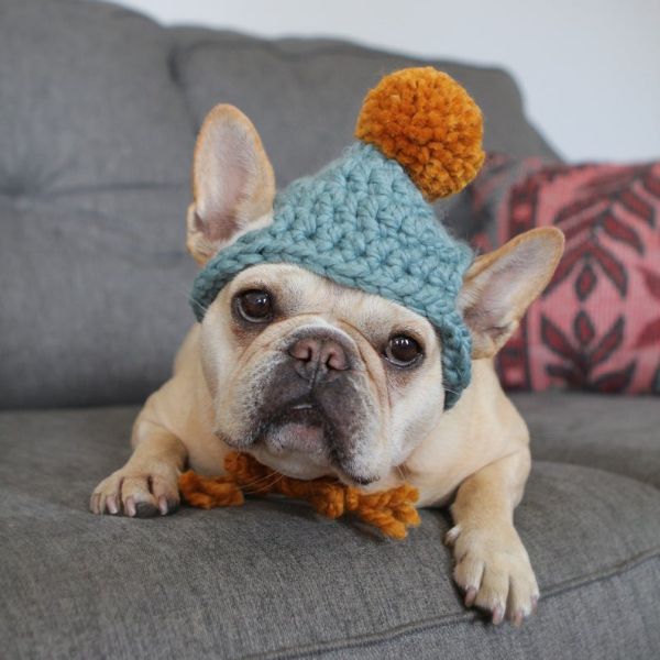 Y-Z Dog Clothing Accessories Handmade Dog Beanie with Pom Pom Crochet Knit Dog Hat Gift