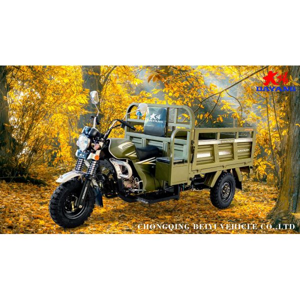 Global Market Open Body Type Three Wheels Motorcycle with Front Drum Brake