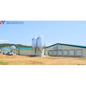 Cheap Double Light Steel Structure Chicken House with Fully Automatic Equipment wholesale