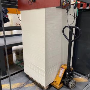 Double PE Coated Paper Cup Sheet 260GSM Flexo Printed