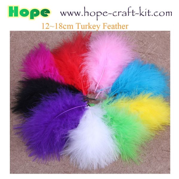 Peacock feathers, goose feathers, turkey chicken feathers for hobbies and children kids STEM hand-crafted DIY material