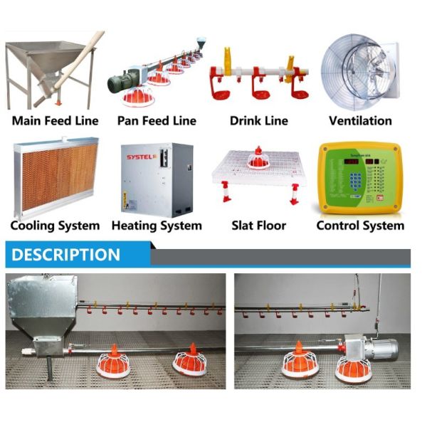 Complete Auto Broiler Poultry Farm System For Chicken Water