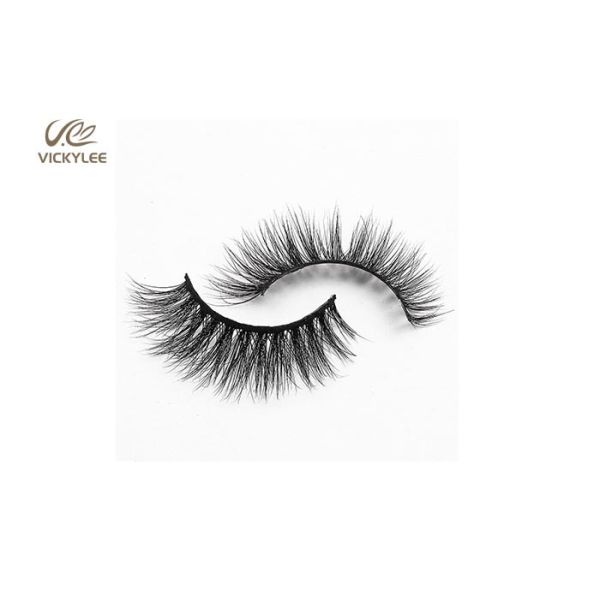 Whole Strip Fan Shaped OEM Natural False Eyelashes
