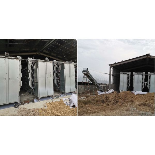 Layer Raising Poultry Manure Removal System 1.2mm PP Belt ISO9001 Approval