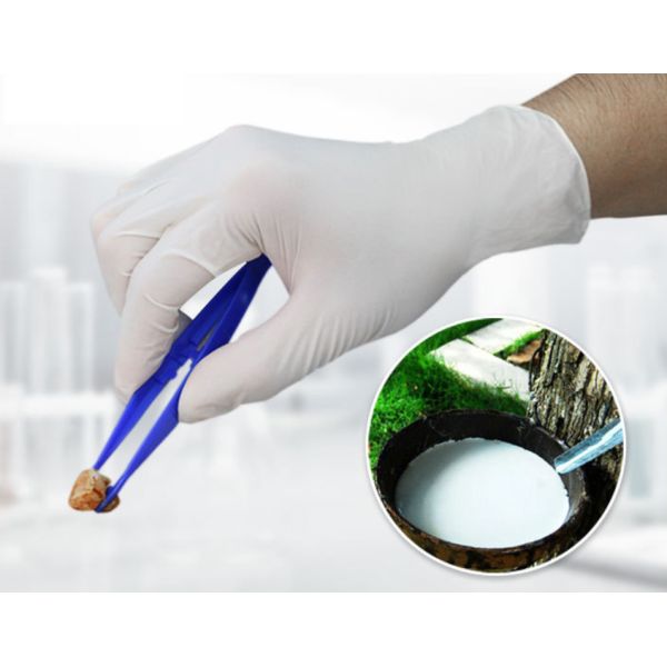 Surgical Sterile Disposable Latex Examination Gloves CE FDA ISO