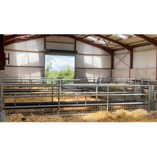 Aluminum Alloy Window Prefab Steel Construction Agricultural Building for Cattle Barn