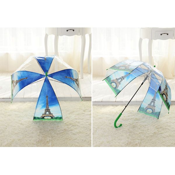 Cute Full Coverage Dome See Through Umbrella , Durable Clear Bubble Umbrella