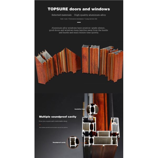 TOPSURE Tilt Glass 1.6mm Aluminum Casement Door