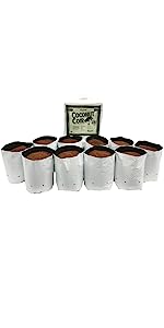 Plastic Bag, 10-Pack, Ten Pack,