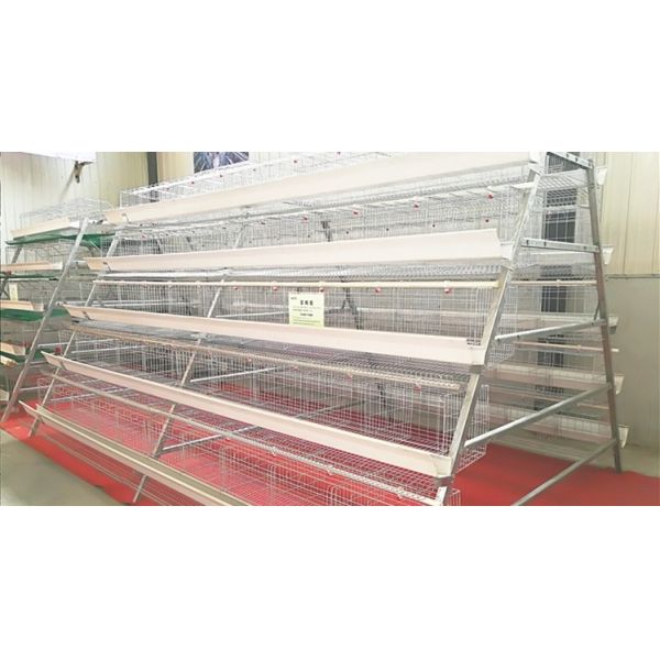 Poultry Chicken Layer Cage ODM Pvc Feed Trough