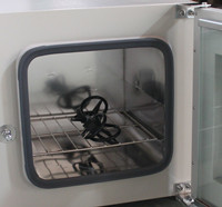 Electric Industrial Drying Oven Stainless Steel with Vacuum Pump