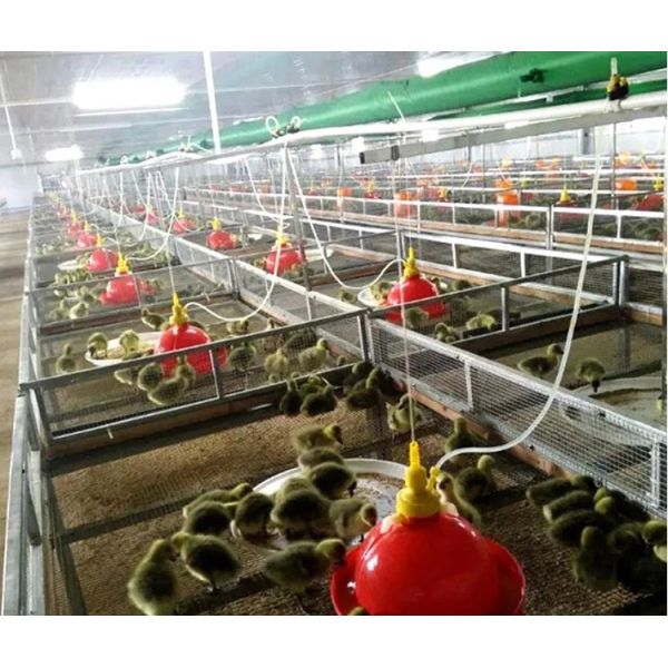 Automatic Plastic 830g Plasson Bell Drinker