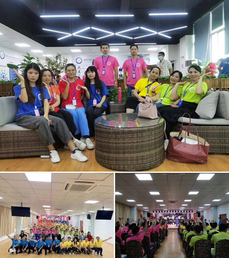 4G LTE Base Station Antenna 2300MHz for External Panel Communication in Greg Color