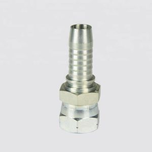 Cheap Female 22611 BSP Hose Fittings wholesale