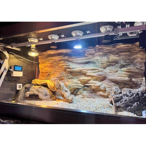 PU Material Reptile Terrarium Background Simulation Rock 3d Terrarium Background