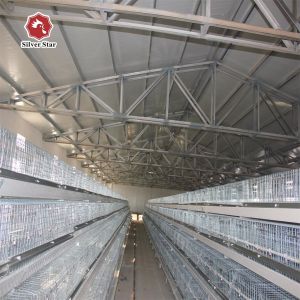 Cheap Broiler Chicken Farm Automatic Battery Cage System 13 Chicks/Cell wholesale
