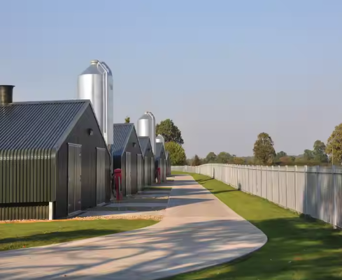 Heavy Duty Industrial Chicken Houses Hdg Bolts Connection Poultry House Construction