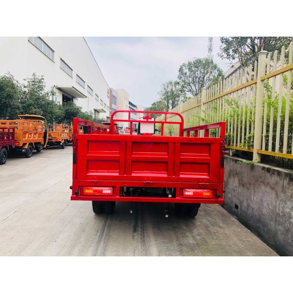 200cc Tricycle Engine Heavy Loading 1 Ton Cargo Box Gaso for Adults Farm from Chinese