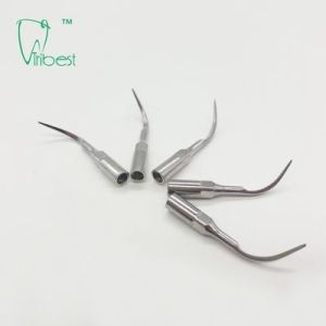 Cheap P1 Woodpecker Ultrasonic Tips Dental Hygiene Stainless Steel wholesale