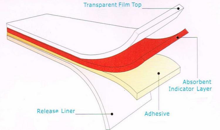 Waterproof Holographic Vinyl Eggshell Sticker Paper , Custom Tamper Evident Labels