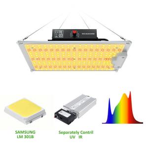 Cheap Horticulture 100w LED Grow Lights For Indoor Plants 160lm/W wholesale