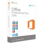 China MS Microsoft Office 2016 Retail Box Phone Activation Office 2016 PP for sale