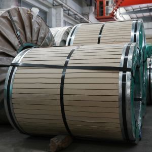 Deep Drawing Stainless Steel Coil Strip Cold Rolled 304dq / 304ddq