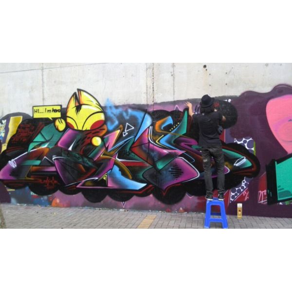 Non Fading Graffiti Spray Paint Impact Enduring For Different Surface