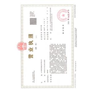 Shandong Dexi Machine Co., Ltd. Certifications