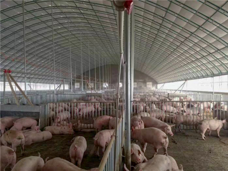 Big Blades Cooling Poultry Farm Exhaust Fan Greenhouse Ventilation Fan Heavy Duty Wall Mounted Drop Hammer Fan