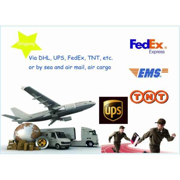 Military Awards Personalized Coins / Air Force Challenge Coins 2 - 6mm Thickness