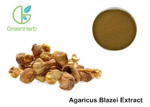 China Agaricus Blazei Extract Promoting Hematopoiesis ,  Medicinal Mushroom Powder on sale