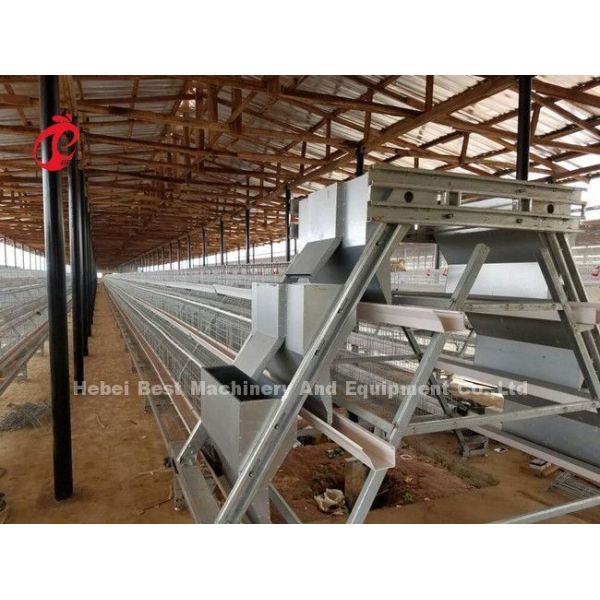 Angle Iron Poultry Breeding Cage System For Nigeria Zambia Kenya Ghana Cameroon Sudan Gambia Nambia Market