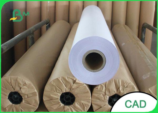 Quality 36 24 Inch Plotter Paper Roll , 80gsm Wide Format Plotter Paper Moisture Proof for sale