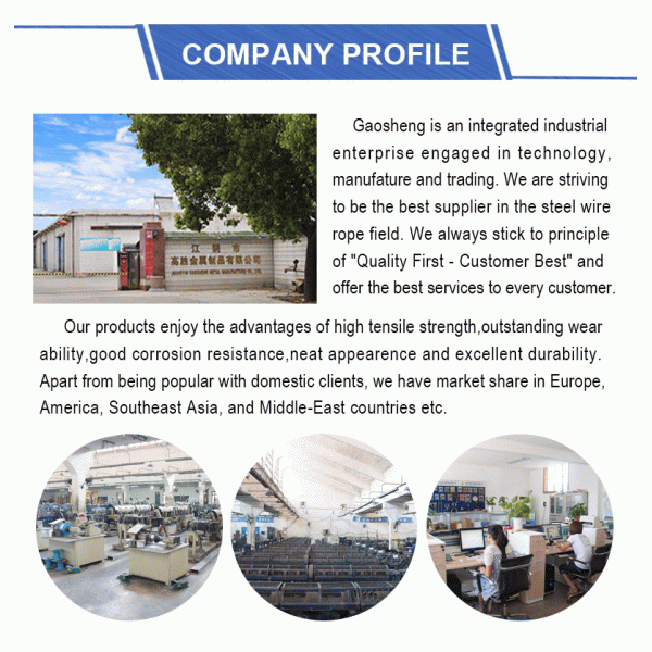 Plastic Covered PVC Coated Stainless Steel Wire Rope 1mm-10mm Diameter