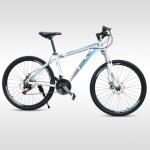 ODM Aluminum Alloy Mountain Bike With SHlMANO 21Speed Gear