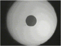 Fast ST Fiber Cleaner , Fiber Cable Cleaner Excellent Cleaning Result