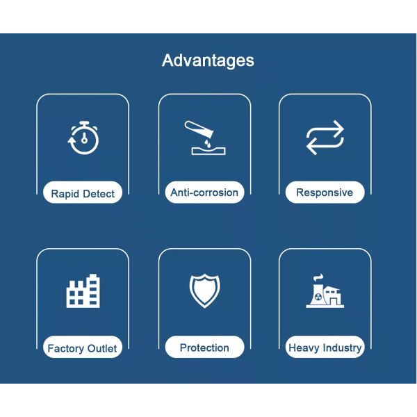 ZRD4200 Sound Alarm Laser Methane Detector In Safety Detection