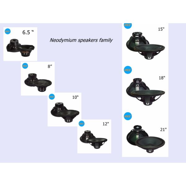 Carbon Cone Car 8ohm 15KH 96dB Line Array Loudspeakers