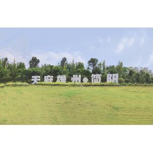 Sichuan Tianfu Xiongzhou Intelligent Engineering Co., Ltd