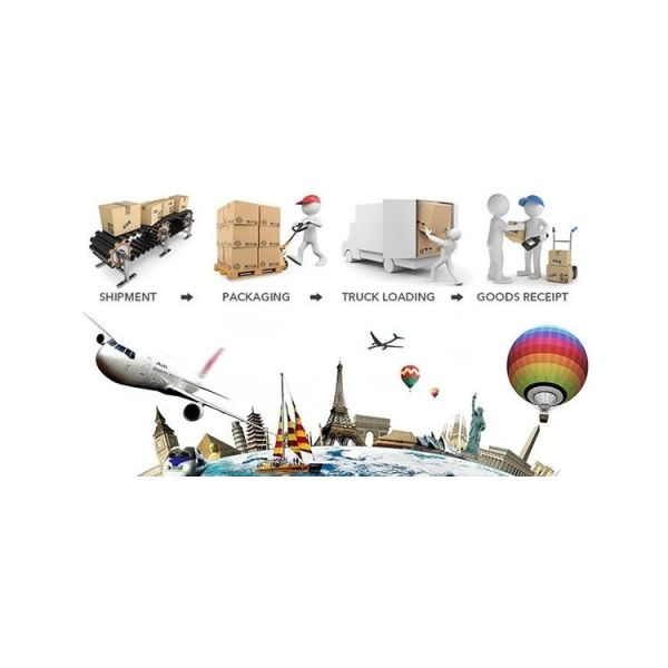 Elegant Preserved Flowers In A Box Perfect Gift For Mothers Day V - Day