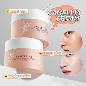 Cheap 60G OEM Skin Care Products Camellia Flower Anti - Oxidant Moisturizing Repair Face Cream wholesale