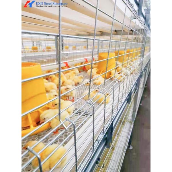Broiler Farm Plastic Slatted Dung Leaking Board Poultry Slat Floor For Chicken Chick Duck Goose
